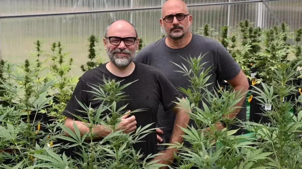 Sebastin Tedesco y Pablo Fazio, de Pampa Hemp