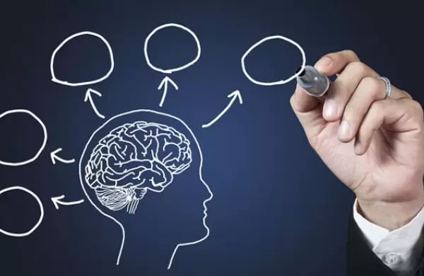 Qu es la neuroinclusin y cmo utilizarla para construir equipos que realmente funcionen