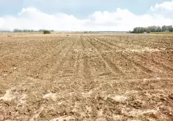 En un ao, se duplicaron las plizas de seguro paramtrico para el agro