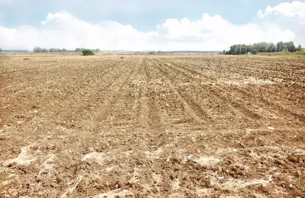 En un año, se duplicaron las pólizas de seguro paramétrico para el agro
