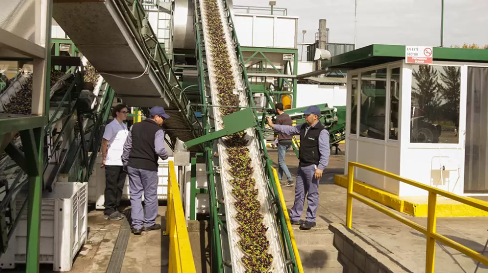 Instalaciones de  Solfrut, productora del aceite Oliovita