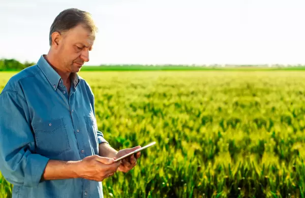 Cómo es 'Flash Agro', la startup argentina que conecta al productor con el consumidor