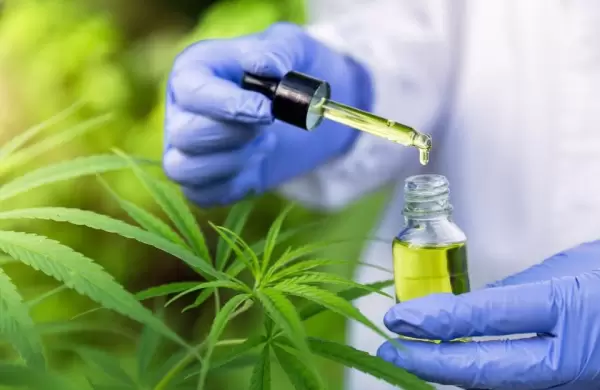 Hallazgo: demuestran que los compuestos del cannabis previenen la infección de Covid