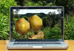 Cmo comprar la criptomoneda argentina que permite proteger hectreas de selva en Misiones