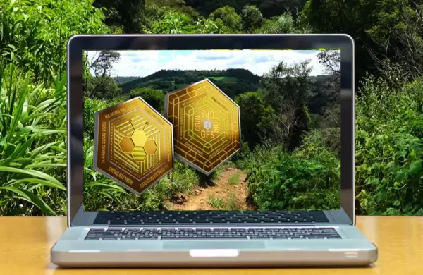 Cmo comprar la criptomoneda argentina que permite proteger hectreas de selva en Misiones