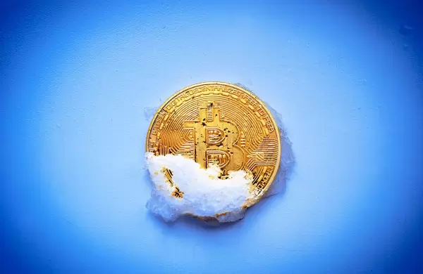 Se viene el "Crypto Winter": qué dicen los detractores del Bitcoin al respecto