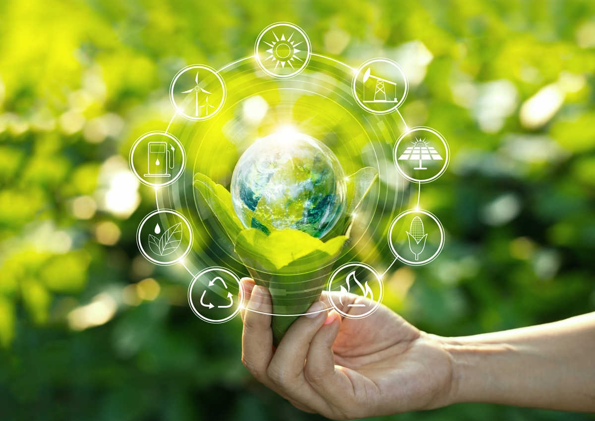 CÃ³mo introducir las finanzas verdes en tu negocio para crecer ecolÃ³gicamente - Forbes Argentina