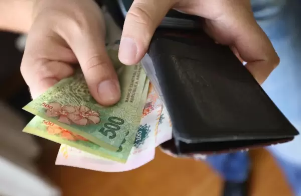 Seis acciones argentinas para invertir fcil y directamente en la "economa real"