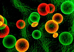 Del legado a hacer del Stem Cells Transplant Institute un líder regional en medicina regenerativa