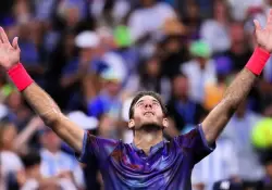 Juan Martn del Potro anunci su posible retiro del tenis: cunto dinero gan en su carrera