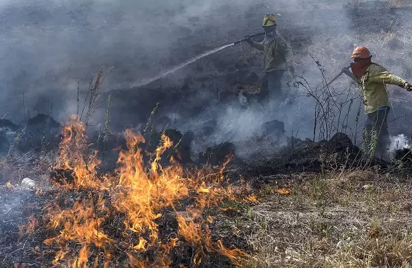 Incendios en Corrientes ya generaron más de $ 25 mil millones en pérdidas