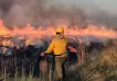 De plantaciones de yerba y arroz a actividad ganadera, cuáles son los sectores más afectados por los incendios en Corrientes
