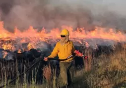 De plantaciones de yerba y arroz a actividad ganadera, cules son los sectores ms afectados por los incendios en Corrientes