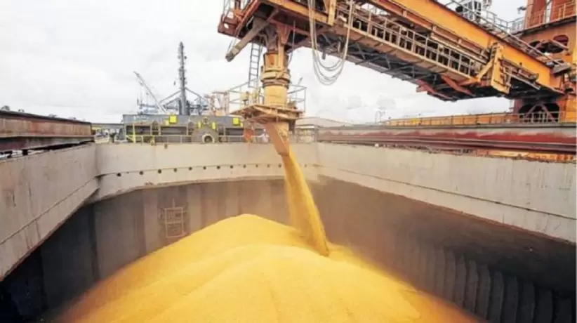 exportaciones de trigo