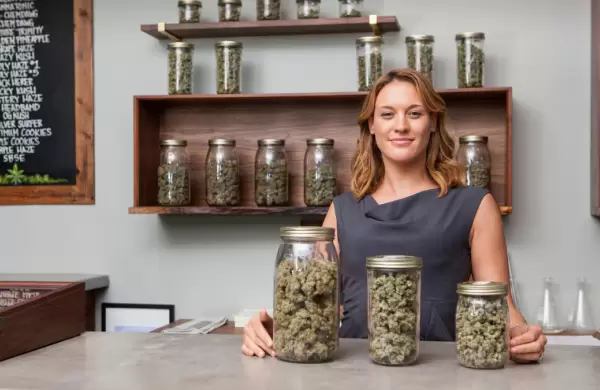 As se forma un Ganjier: una empresa lanza los primeros cursos para los sommeliers del cannabis