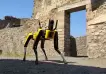 Un perro robot patrulla las ruinas de Pompeya en búsqueda de asaltantes de tumbas
