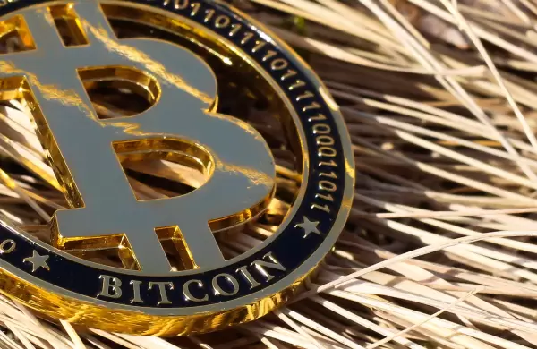 Listas para despegar: las criptomonedas se preparan para un impulso de 140.000 millones de dólares