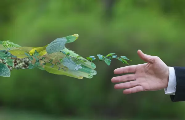 Cómo la sostenibilidad se metió en la mesa chica de las empresas argentinas