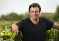 Wines of Argentina renov autoridades y Alejandro Vigil ser el nuevo presidente