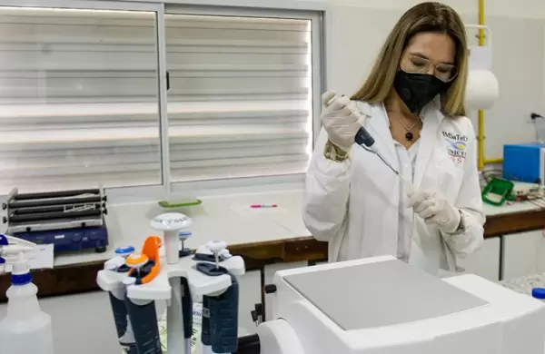 Cientficos estadounidenses infectaron deliberadamente a personas con Zika: este es el motivo