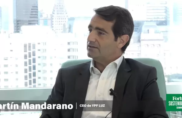 Martín Mandarano: "Las energías renovables argentinas pueden ser fuente de generación de divisas"