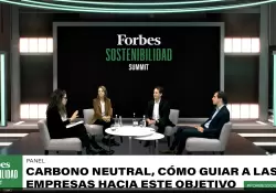 Carbono neutral: Qu tan lejos est la Argentina de alcanzar la meta de emisin cero?