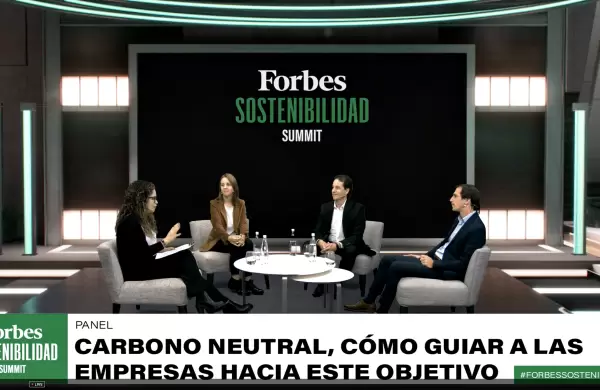 Carbono neutral: ¿Qué tan lejos está la Argentina de alcanzar la meta de emisión cero?