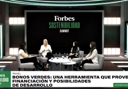 Tres expertas en "bonos verdes" brindan consejos sobre sus posibilidades de desarrollo