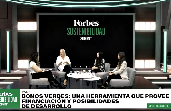 Tres expertas en "bonos verdes" brindan consejos sobre sus posibilidades de desarrollo