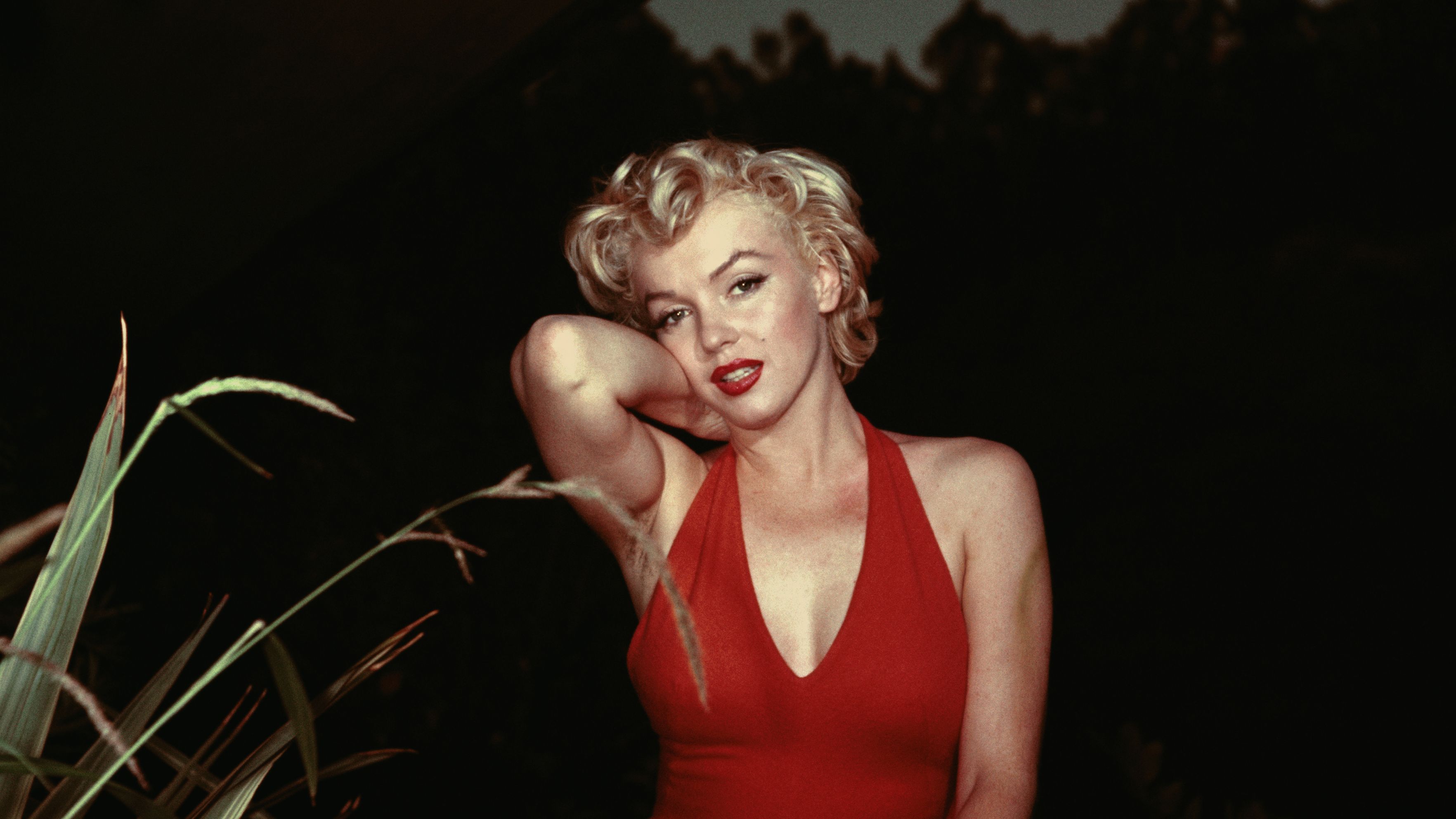 El mito del vestido de Marilyn Monroe: el debate detrás de los talles, el  tamaño y la moda - Forbes Argentina