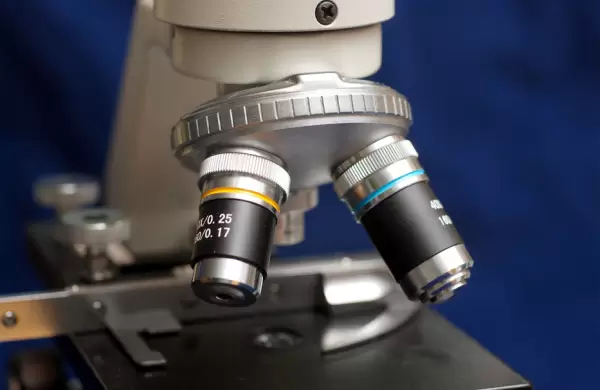 Este anticuerpo recién descubierto marcaría un antes y un después en el tratamiento contra el cáncer