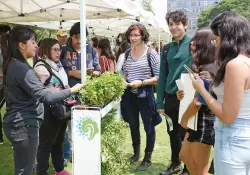 Cmo trabaja la incubadora argentina que promueve emprendimientos de impacto ambiental