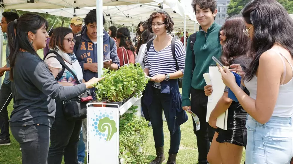 Incubadora argentina de proyectos sustentables