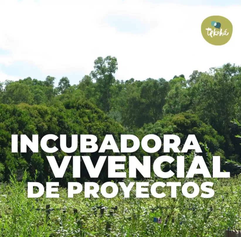 Tekhoá es una incubadora de proyectos de impacto ambiental