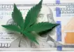 Brotes verdes: El cannabis en Argentina generaría mil millones de dólares en exportaciones
