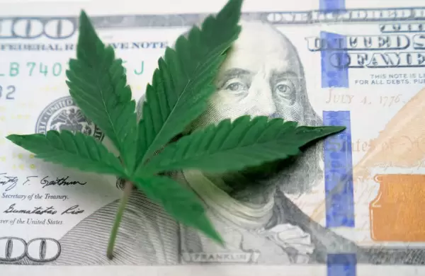 Brotes verdes: El cannabis en Argentina generara mil millones de dlares en exportaciones