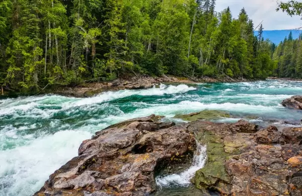 Producción y consumo: una responsabilidad que parte del sector privado