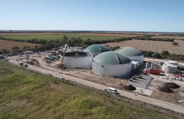 Quines son los argentinos que fundaron Cryptogranjas y convierten desechos del campo en bitcoins