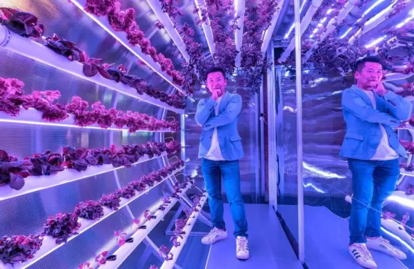 Así es Farm66, la startup en la que invierte Jack Ma y que conmueve al mercado con su agricultura vertical en edificios