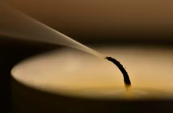 As se encendi la mecha del crypto crash, segn una investigacin de  Nansen, la empresa de anlisis de blockchain