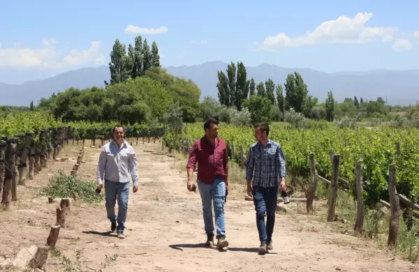 Para celebrar la amistad: vinos hechos por amigos