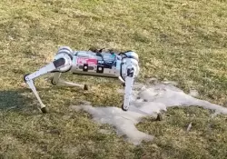 Cmo el MIT ayud a un robot ciego a ensearse a s mismo a caminar en 3 horas