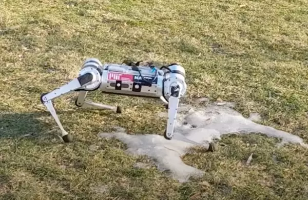 Cómo el MIT ayudó a un robot ciego a enseñarse a sí mismo a caminar en 3 horas