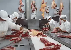 En la Argentina el consumo de carne alcanz los 118 kilos por persona