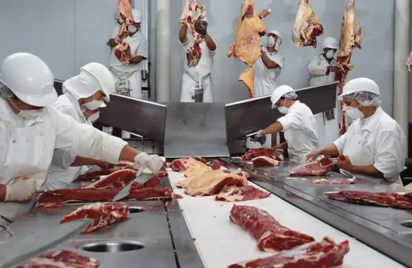 Las razones por las que el precio de la carne se disparó 377% el último año