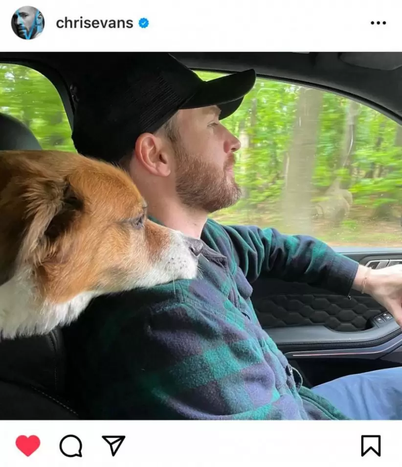 Chris Evans junto a su perro Dodger