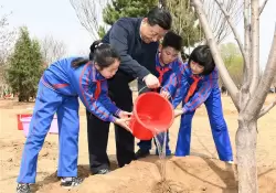 Fin de la tormenta: China da "luz verde" y las tecnolgicas podran volver a brotar