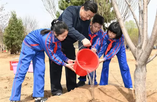 Fin de la tormenta: China da "luz verde" y las tecnológicas podrían volver a brotar