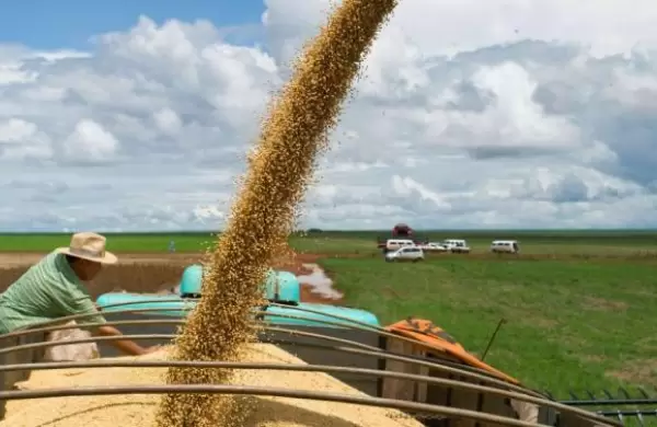 Complicaciones para salir del cepo? El campo ya retiene US$ 3200 millones a la espera de mejores condiciones