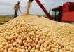 Brasil desplazó a la Argentina como el máximo exportador mundial de harina de soja por primera vez en la historia